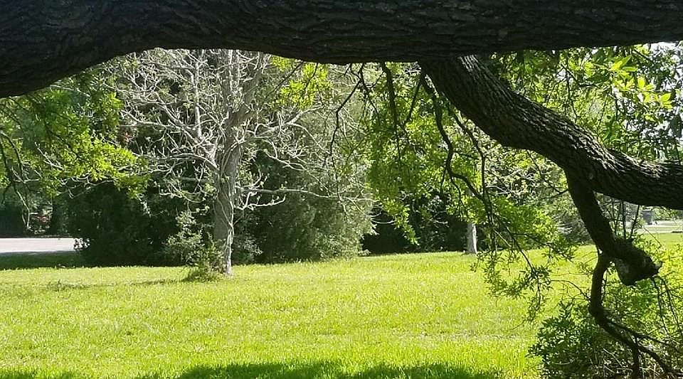 1st image of 7696 Green Ave