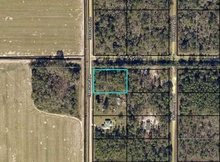 10400 Isaacson Ave, Hastings, FL 32145