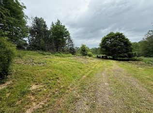 568 Blakesley Nurse Hollow Rd, Afton, NY 13730