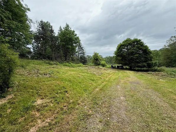 568 Blakesley Nurse Hollow Rd, Afton, NY 13730