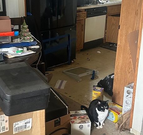 4th image of 17037 S Grissom Dr #2N