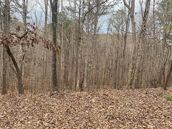 2nd image of 0 Warwick Way SE Lot 48