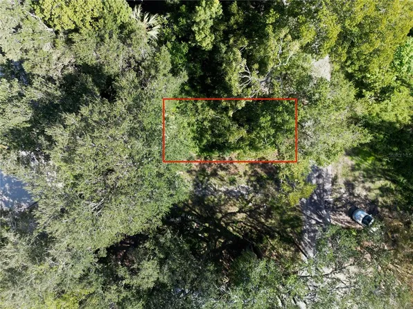 NE 15th Ter, Gainesville, FL 32609