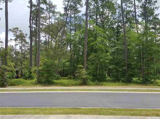 LOT 165 Chamberlin Rd LOT 165, Myrtle Beach, SC 29588
