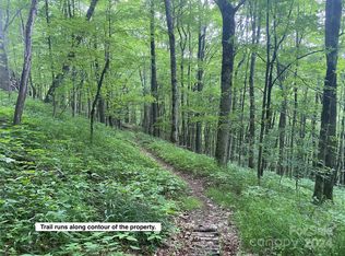 Lots 230 231 Hanging Rock Rd, Mars Hill, NC 28754