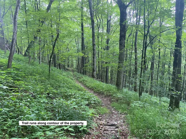 Lots 230 231 Hanging Rock Rd, Mars Hill, NC 28754