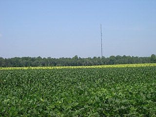 1st image of 3039 Nc Highway 42 E