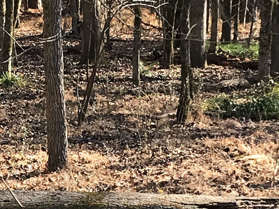 1st image of 311 Canterbury Dr