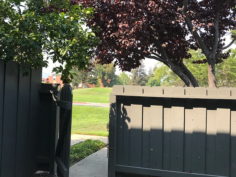 4861 Mintwood Ct — Photo 8