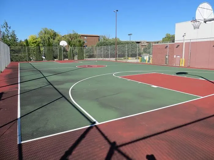 Basketball Court