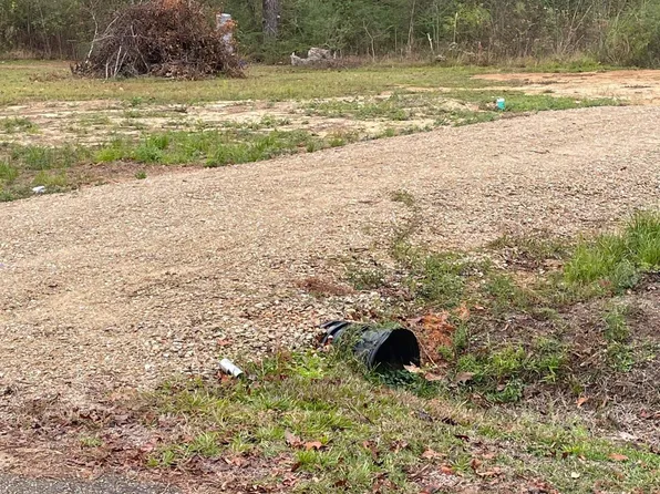 28489 E Shadow Lake Dr, Holden, LA 70744