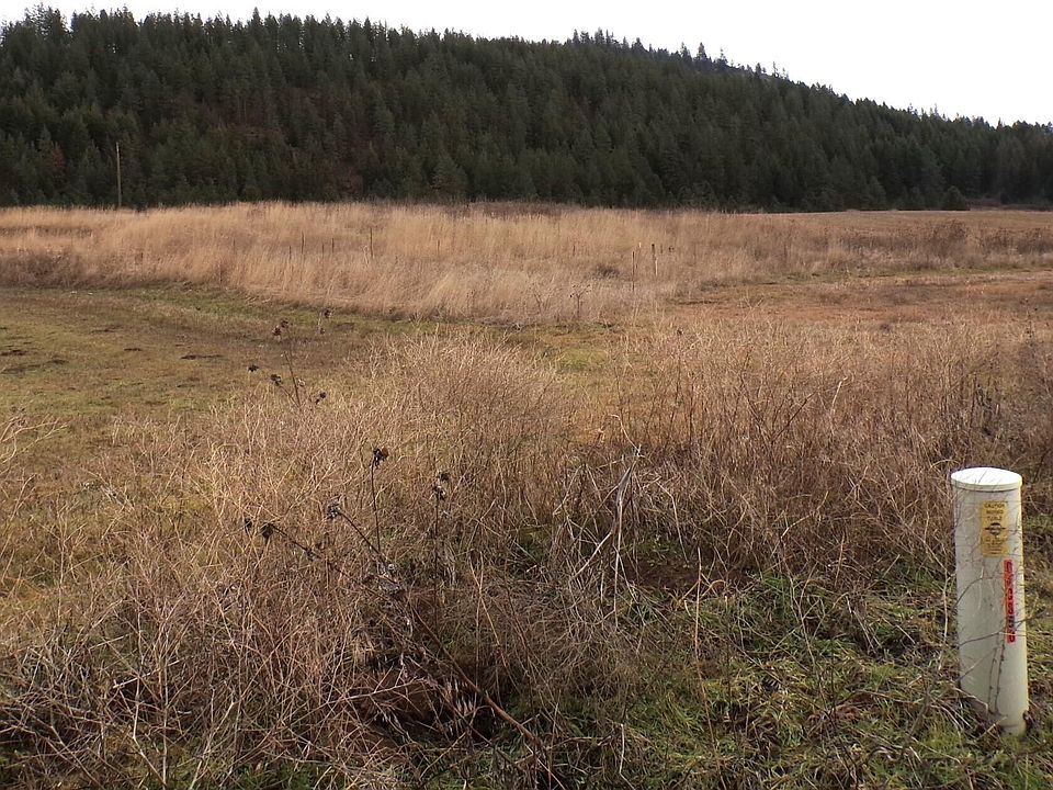 2nd image of 21XX Mollenberg Rd