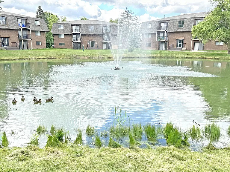 Walnut Hills — Photo 11