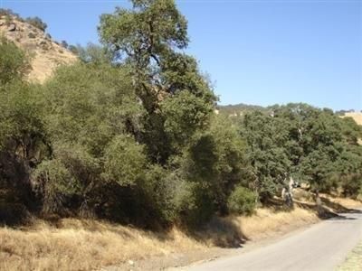 295 Ruth Hill Rd, Squaw Valley, CA, 93675