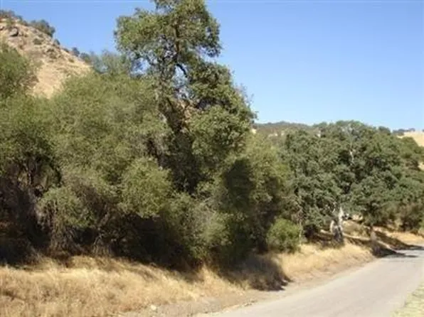 295 Ruth Hill Rd, Squaw Valley, CA 93675