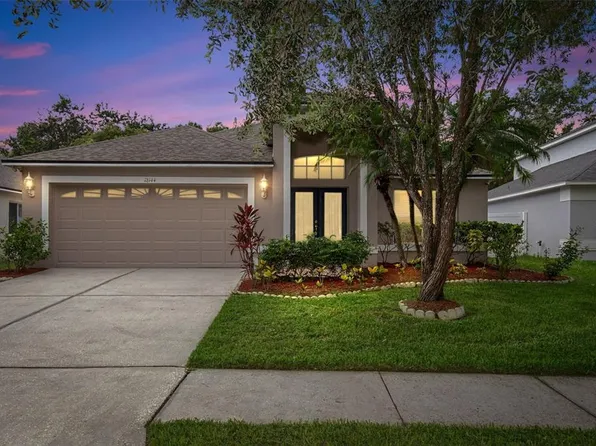 18144 Sandy Pointe Dr, Tampa, FL 33647