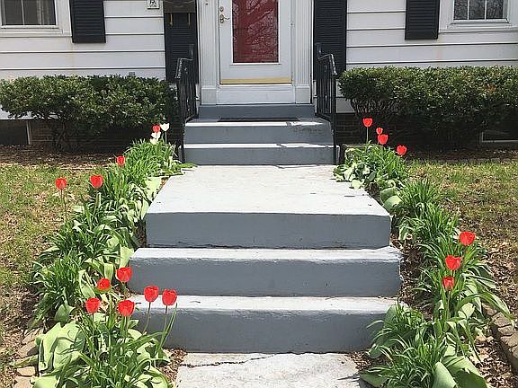 Flowered lined sidwalks