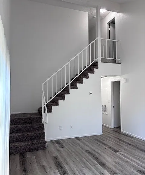 6901 Cornflower Dr #X — Photo 13