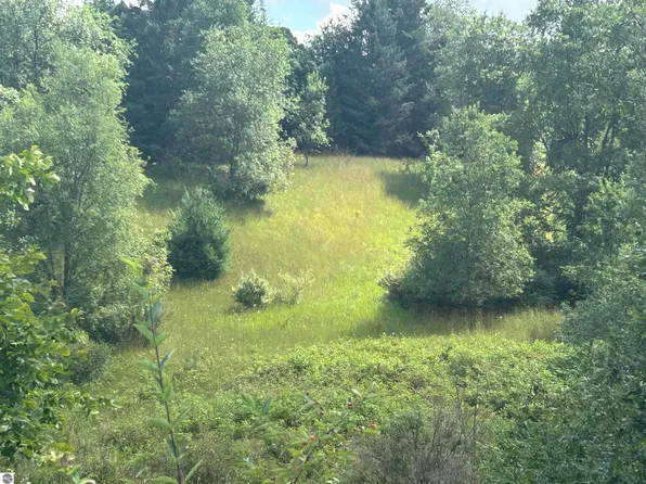 Crystal Springs Rd, Bellaire, MI 49615