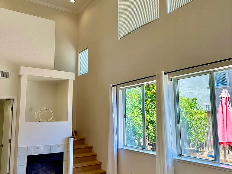 923 Ferro Dr — Photo 11