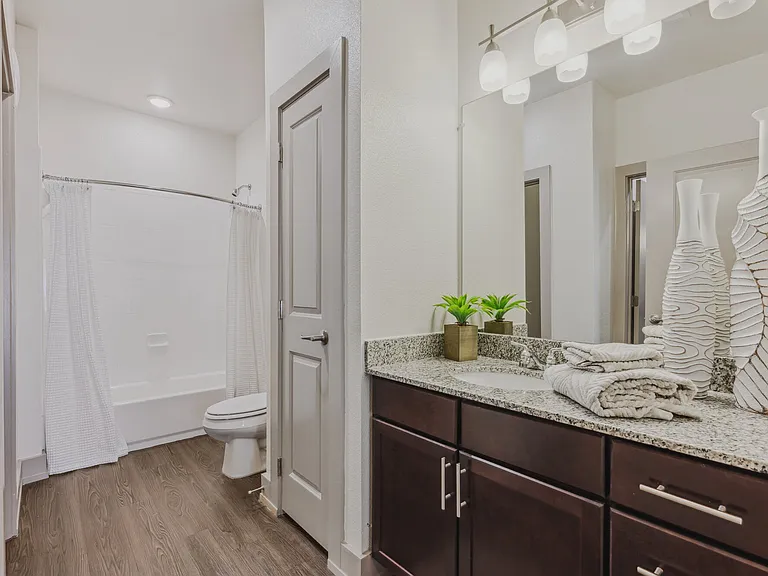 Large bathroom with bath tub and wood style flooring