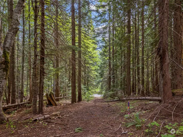 0 Lot 60 Mountain Home Lane, Easton, WA 98925