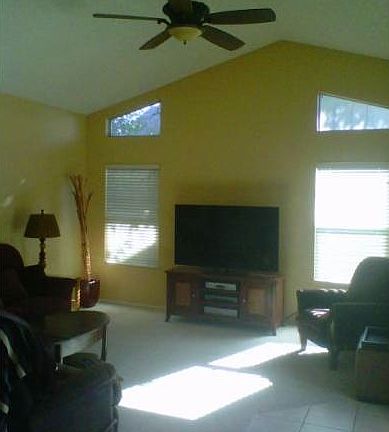 Vaulted Ceiling Great Rm