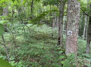 35 Odalu Trl, Maggie Valley, NC 28751