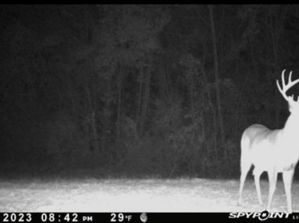 Hank Williams Rd, Mc Kenzie, AL 36456