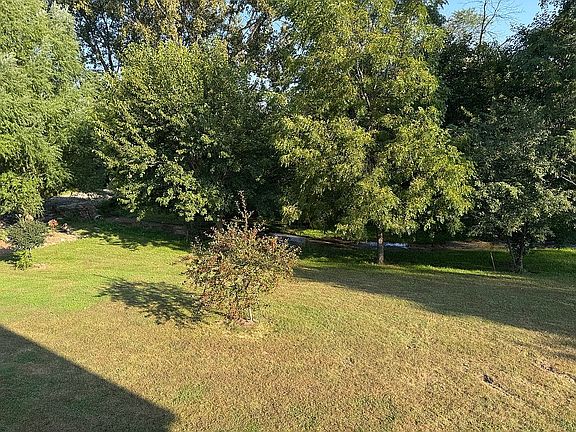 Back yard