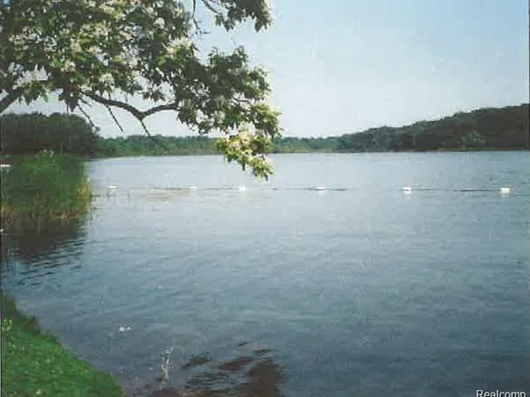 14435 Washburn Rd, Otter Lake, MI 48464