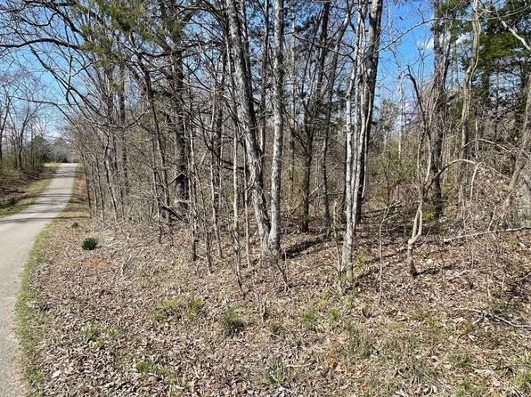 Delaney Loop, Adamsville, TN 38310