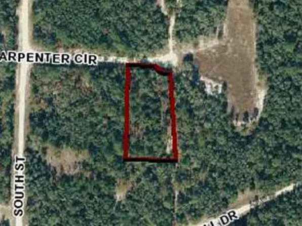 Carpenter Cir, Webster, FL 33597