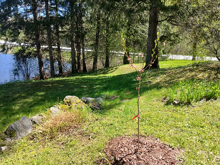 2089 W Creek Rd — Photo 15