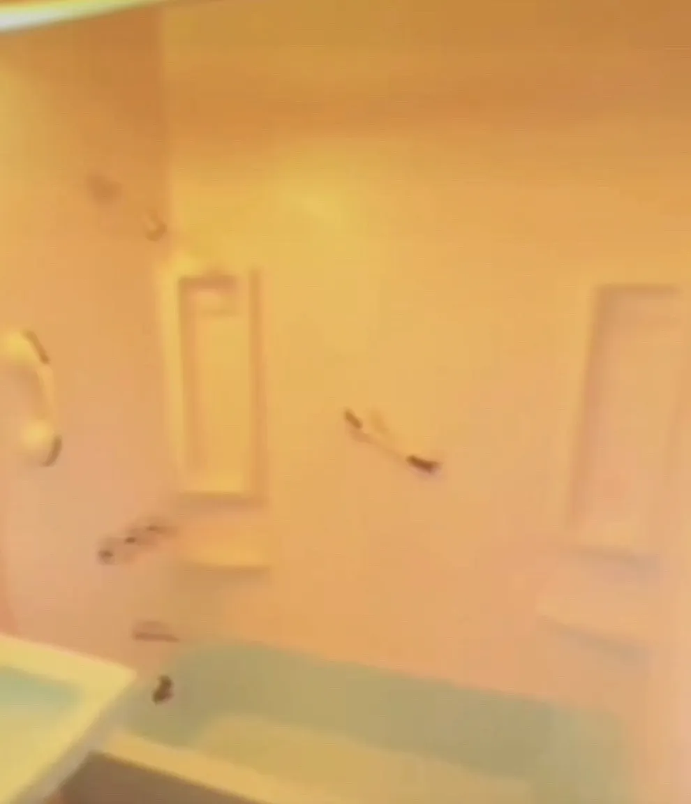 1 bed, $1,950 — Photo 3