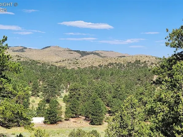L 43rd Trl, Cotopaxi, CO 81223