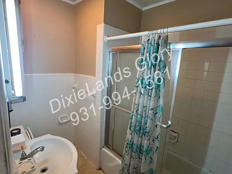 Hall Bathroom