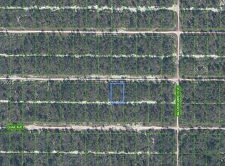 617 Parrot Ave, Sebring, FL 33872