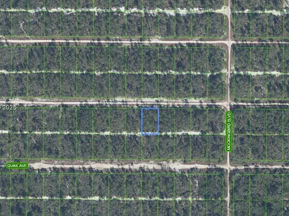617 Parrot Ave, Sebring, FL 33872