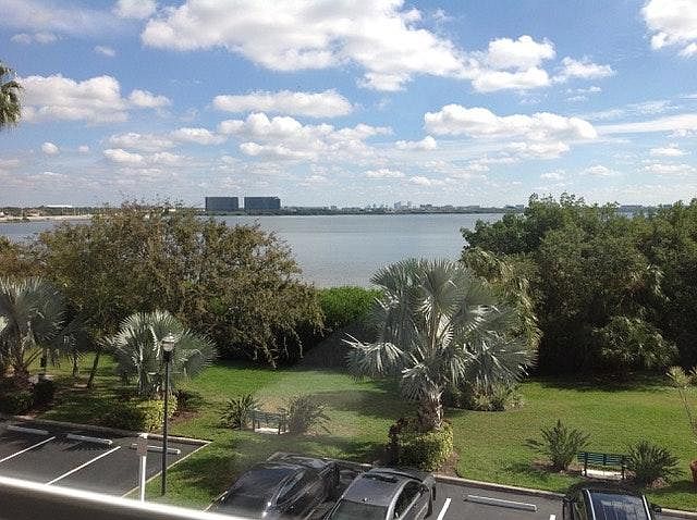 View from screened-in porch