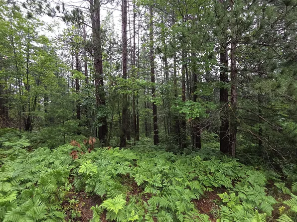 16844 Evergreen Dr, Wolverine, MI 49799