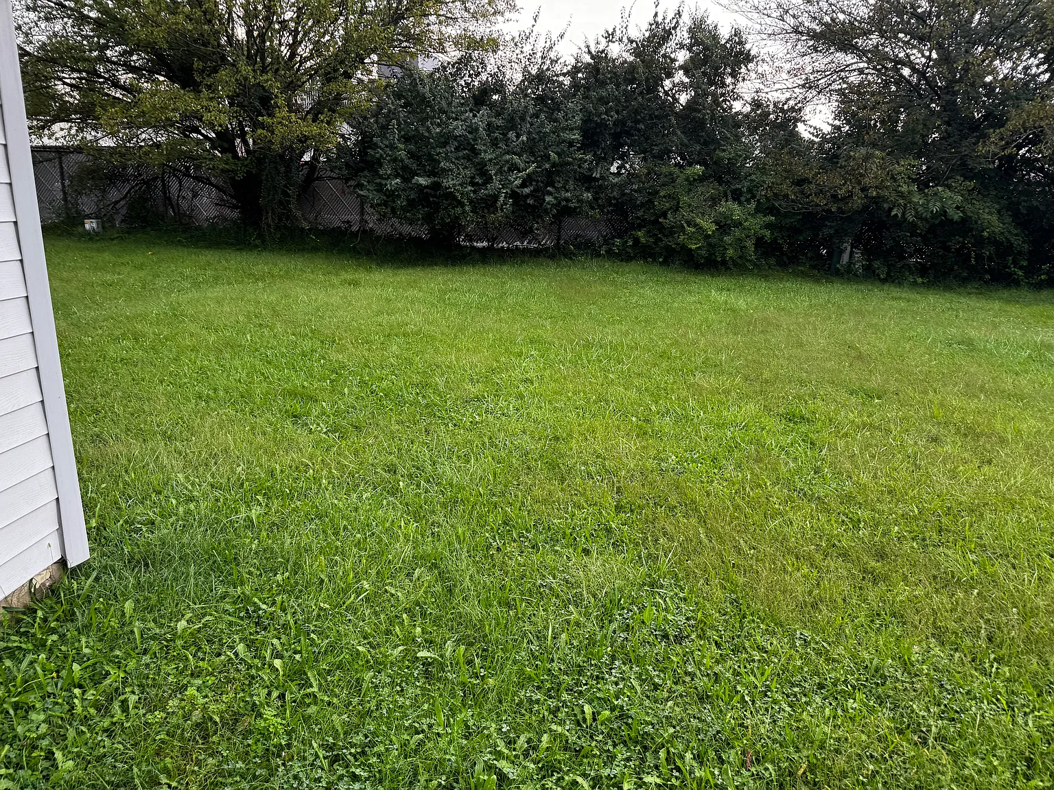 3 bed, 1.5 bath, 988 sqft, $1,800 — Photo 2