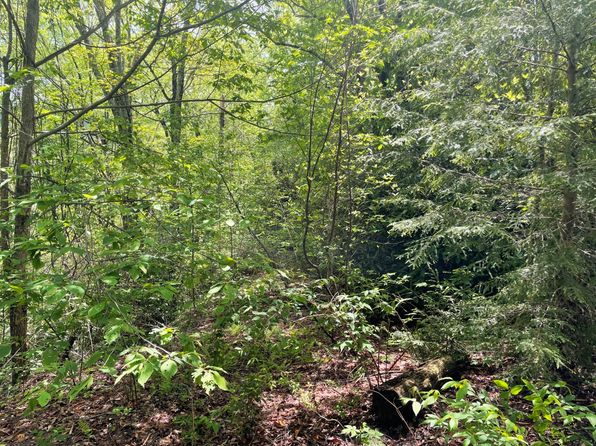 0 Black Rock Rd LOT 46, Cherokee, NC 28719