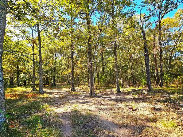 Mount Zion Rd, New Waverly, TX 77358