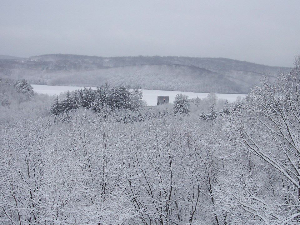 Winter Wonderland