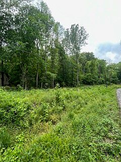 4th image of 1 Windermere Ln #1