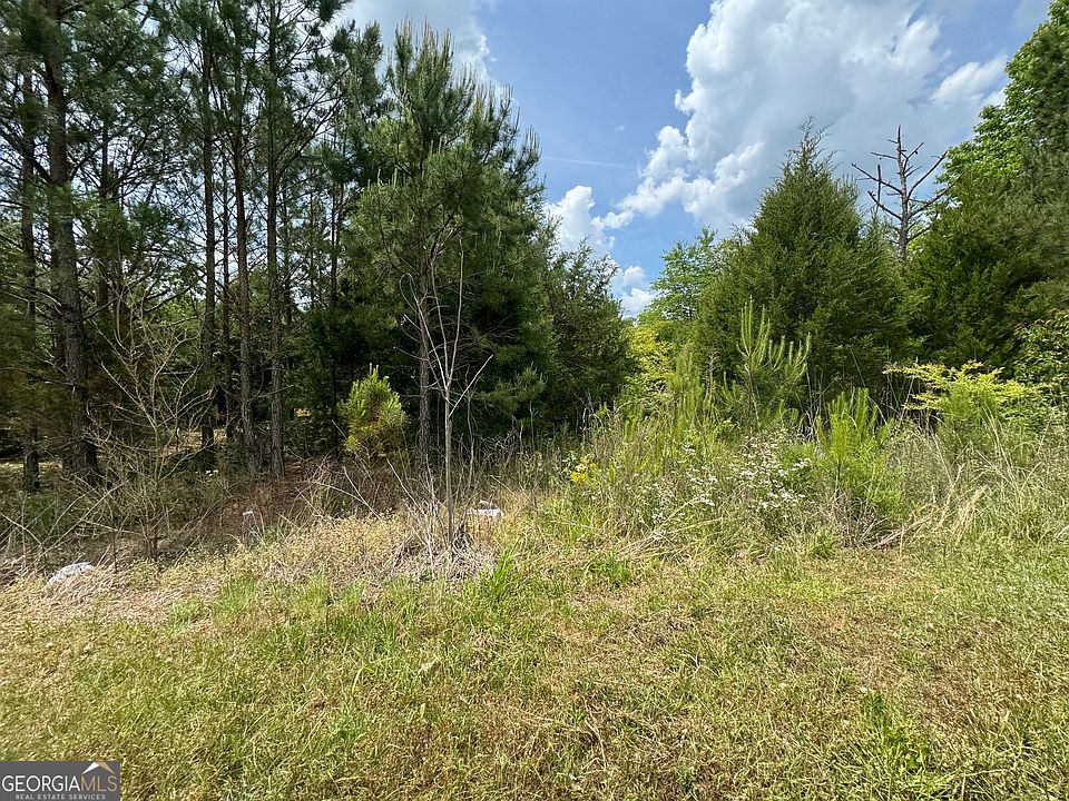 0 W Oglethorpe St Ellaville GA | Zillow