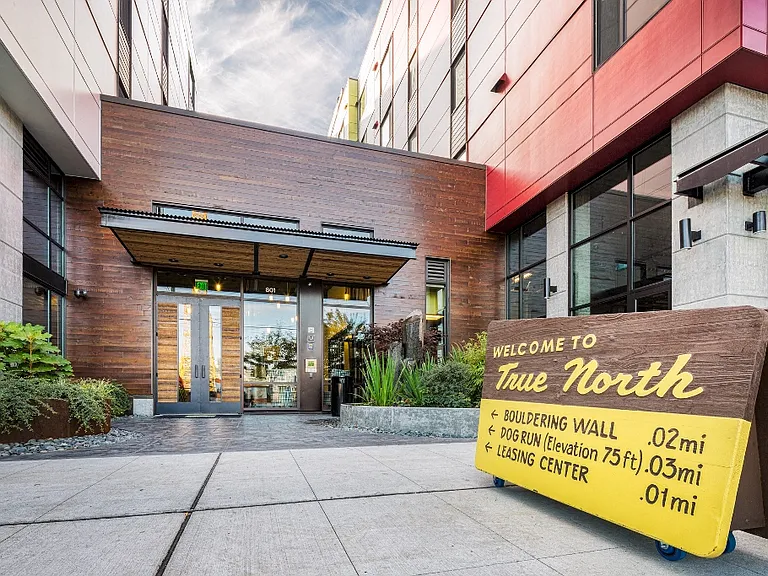 True North — Photo 9