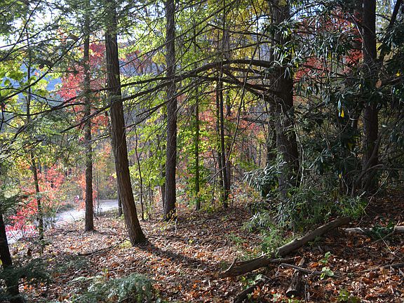 4th image of LOT A Black Bear Trail
