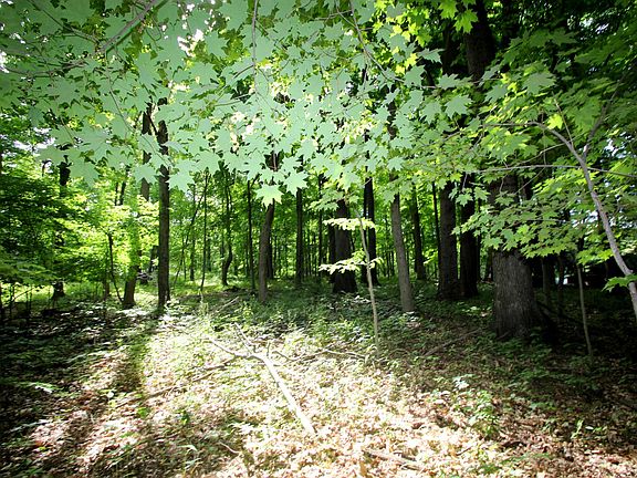5th image of 0 Northern Spy Ct